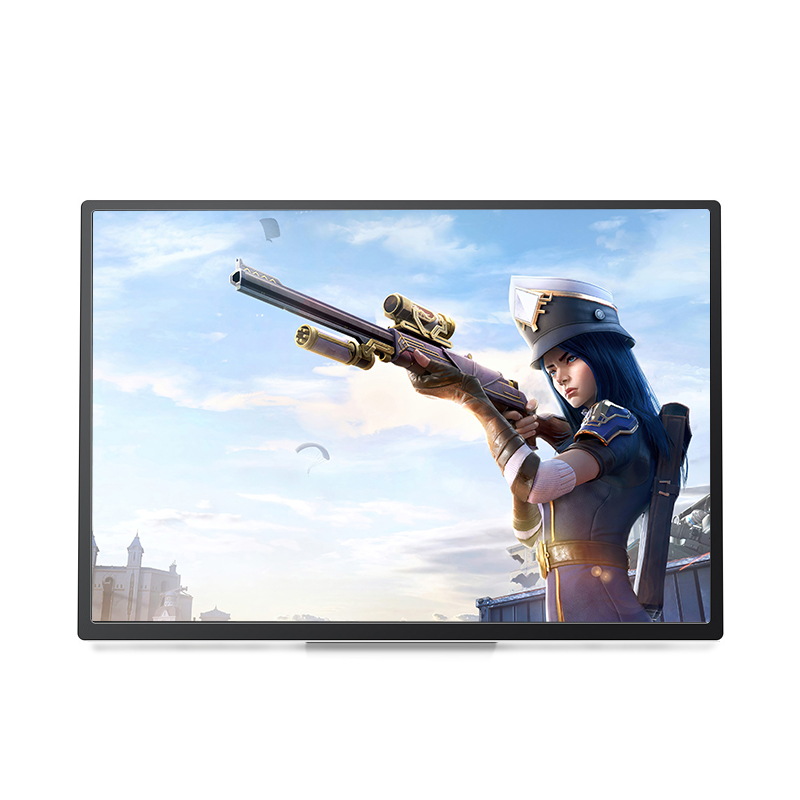 portable monitor